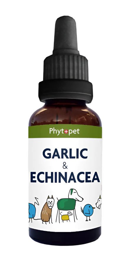 PhytoPet Herbal Supplements Ireland & UK | Natural Pet Health Remedies | Pet Connection